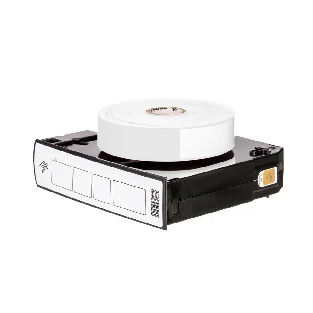 Zebra Z-Band Direct, adult, white (10006995K)